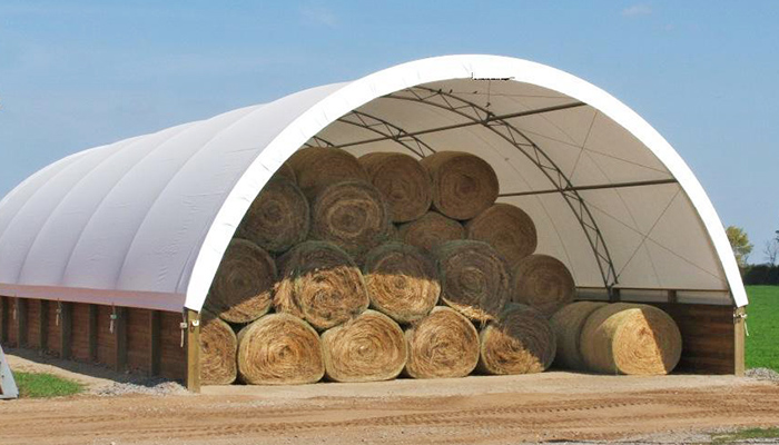 hay-1